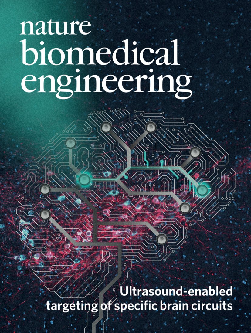 Nature Biomedical Engineering on "The July cover illustrates the non-invasive modulation of brain circuits via focused ultrasound and virally encoded receptors engineered to be activated by a designer drug. https://t.co/IYyA6aLx3i https://t.co ...