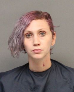 journal star mugshot journal star mugshot