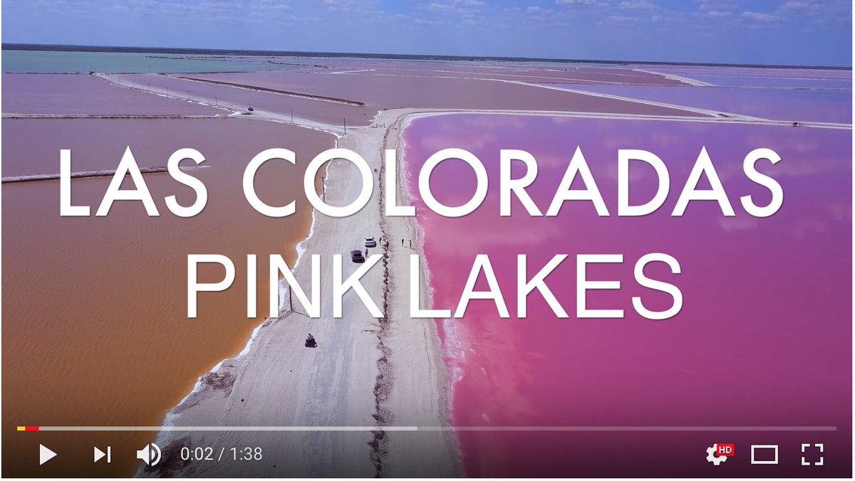 Beautiful footage of Las Coloradas on <a href="/Youtube/">YouTube</a>.. youtu.be/LxPcFedFWxA