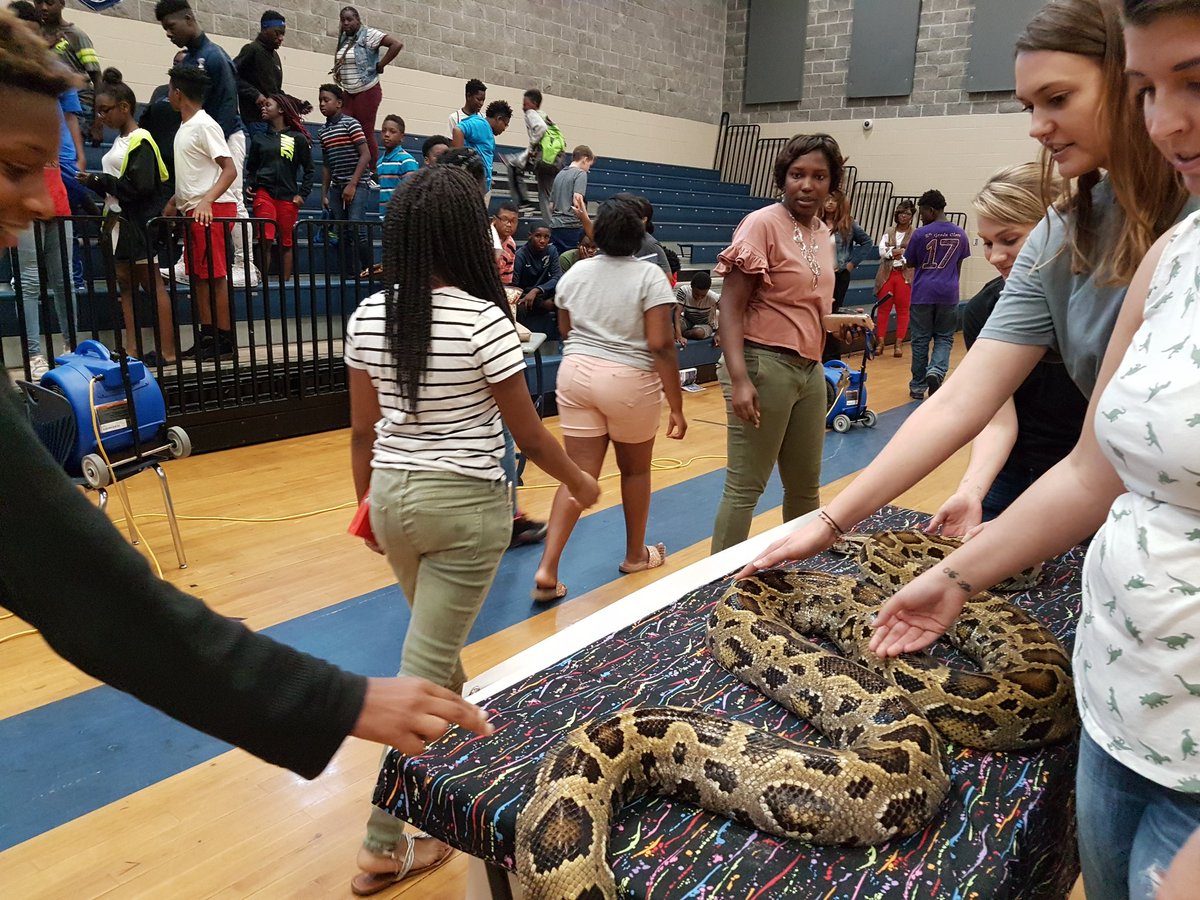 HeatherOverRead's tweet photo. Thanks to Yarborough Reptiles and the @TuscaloosaBooks for the reptile show today! We had so much fun! #TCSLibraries #reptilesarecool #TCSLearns https://t.co/Jmbytq3hpH