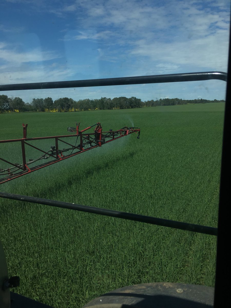 Grainline1's tweet photo. Good day for fungicide #connectmalt https://t.co/8B1kXvpEwi