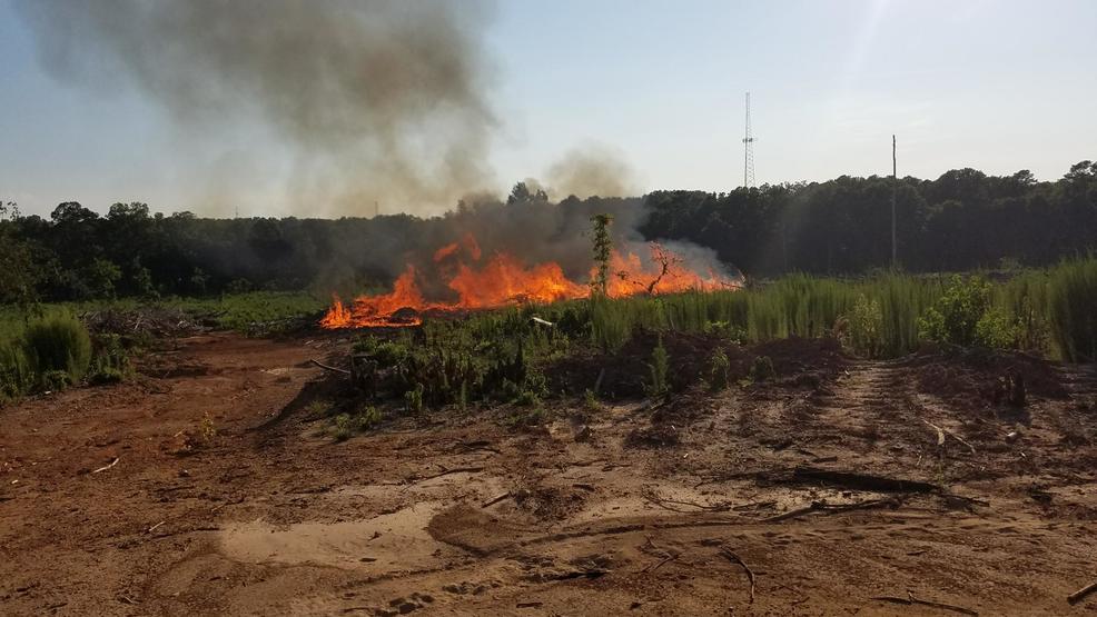 wachfox's tweet image. Fire near Harbison State Forest contained, smoke will continue 
#scnews #fire #scfire @ColaFire. Learn more: bit.ly/2NIU2BA