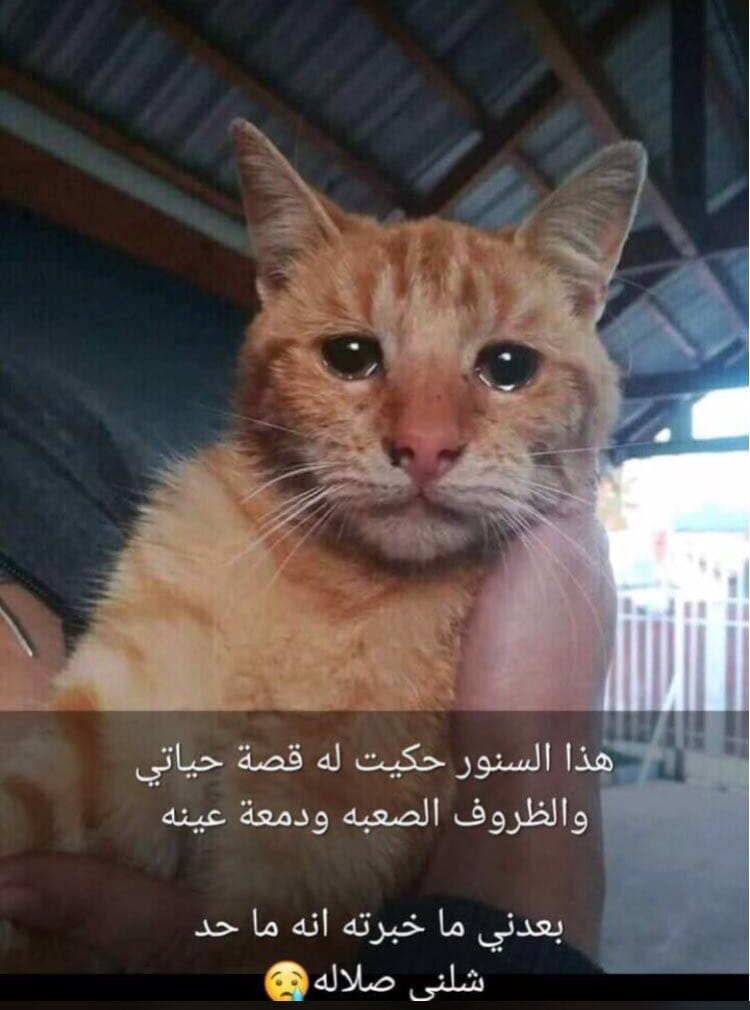 هذا السالفة اللي صارت بيني وبينه
