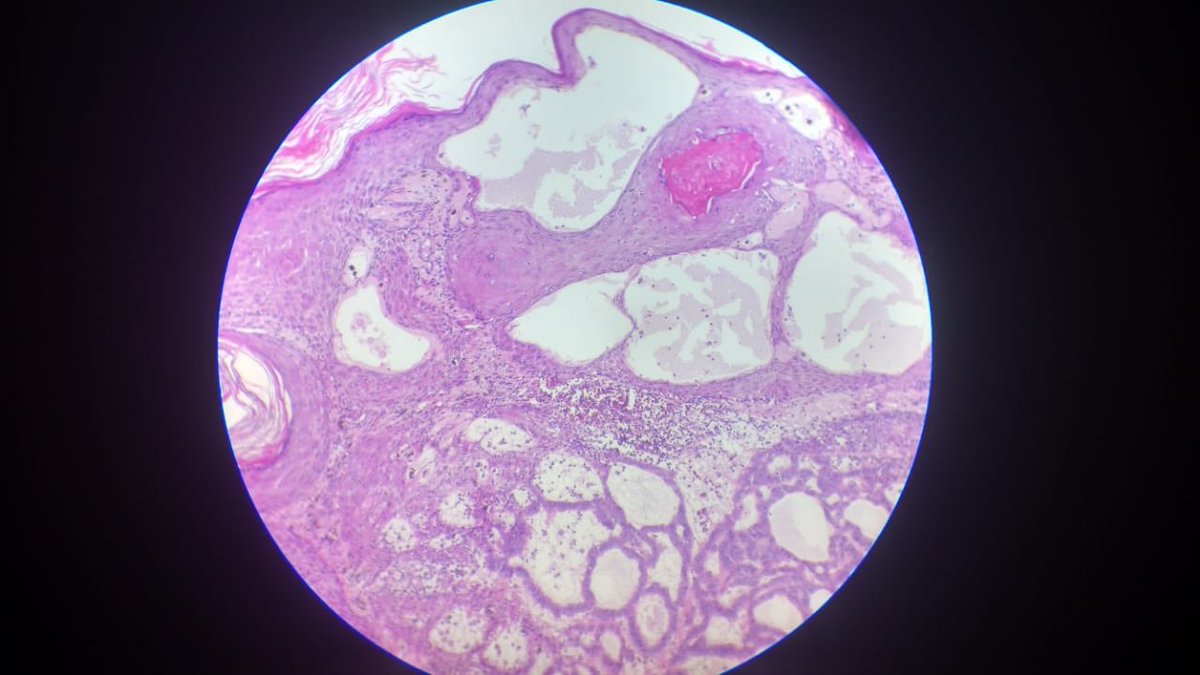 Danna Valdez tweet media