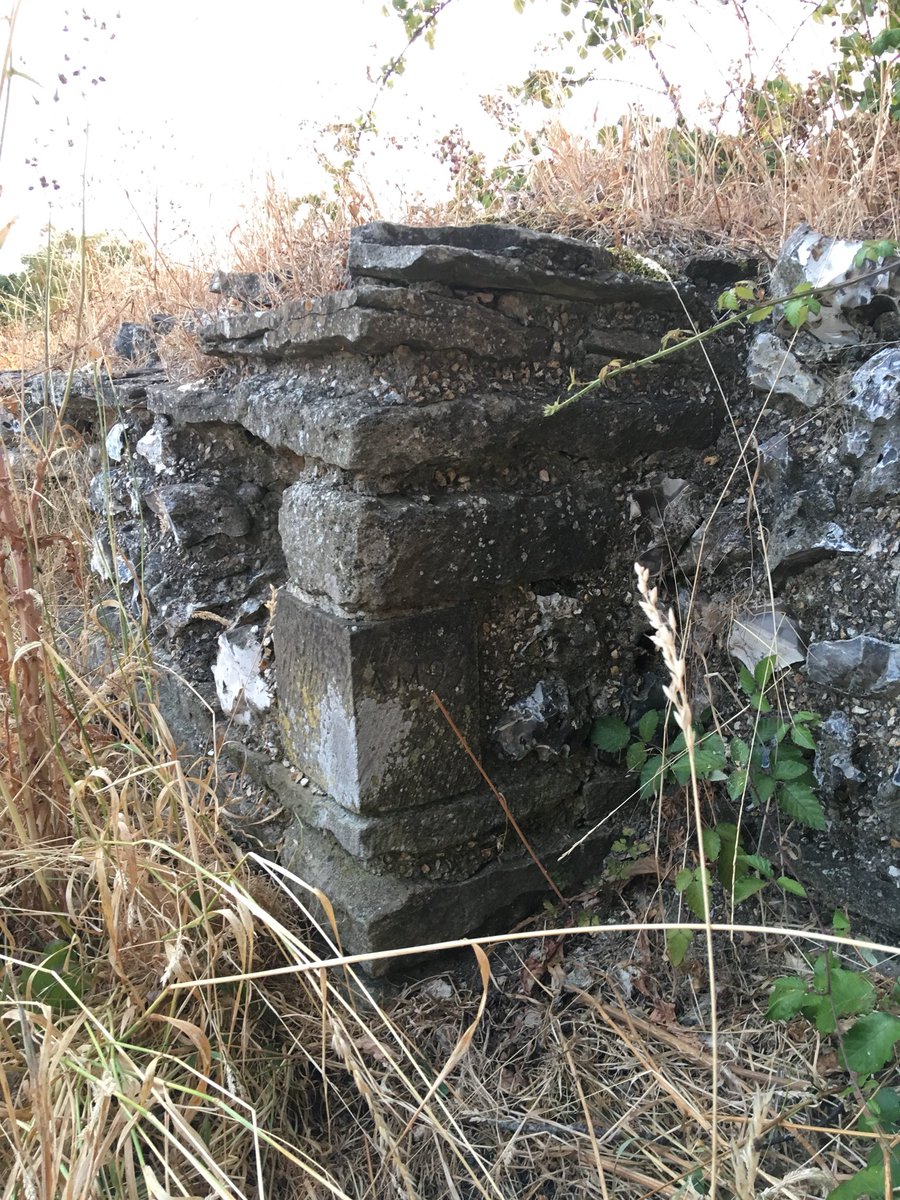 OakleyNige's tweet photo. Visited Silchester this eve on a whim- no archeological βmarkingsβ showing through the parched earth I could see, but plenty to see otherwise and a nice eve walk #calleva #roman https://t.co/s0Cxikm0Cb