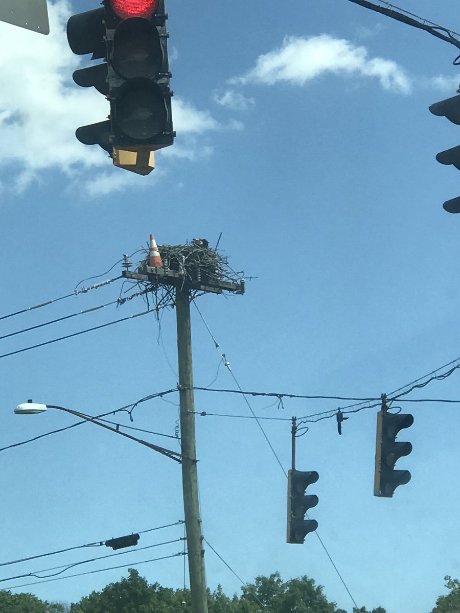 DFoodCourt's tweet image. OMG.....