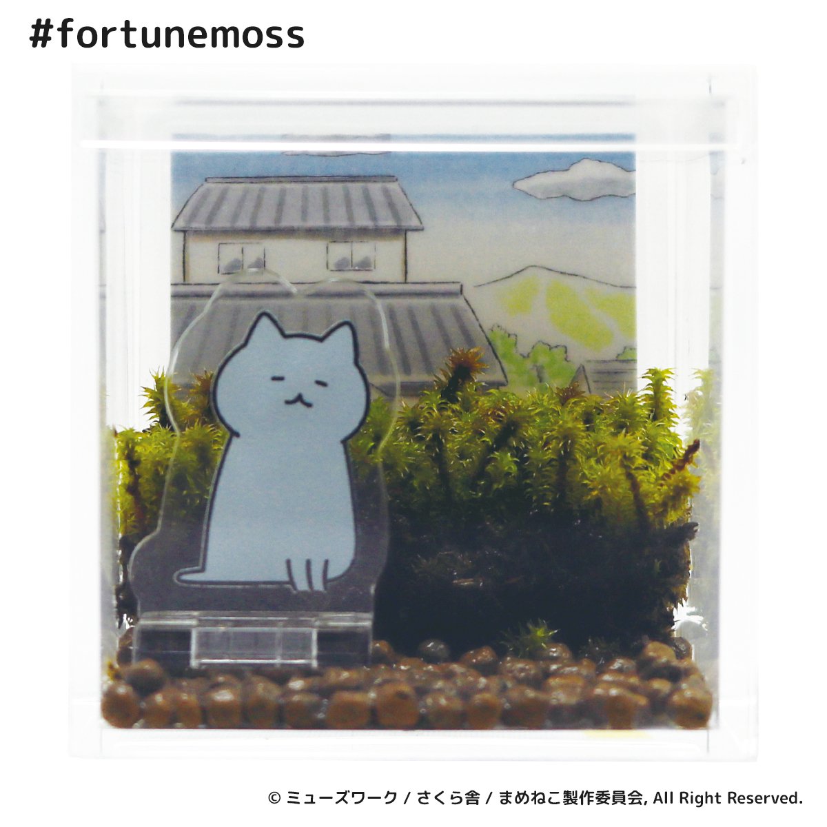 アニメ まめねこ 公式 Anime Mameneko Twitter アニメ まめねこ 公式 Anime Mameneko Twitter
