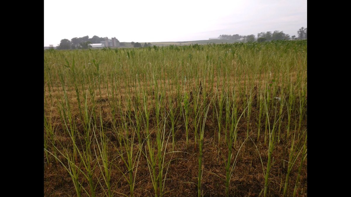 patrick branick tweet media