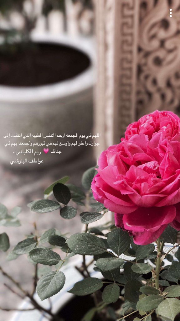 اللهم اميين❤️