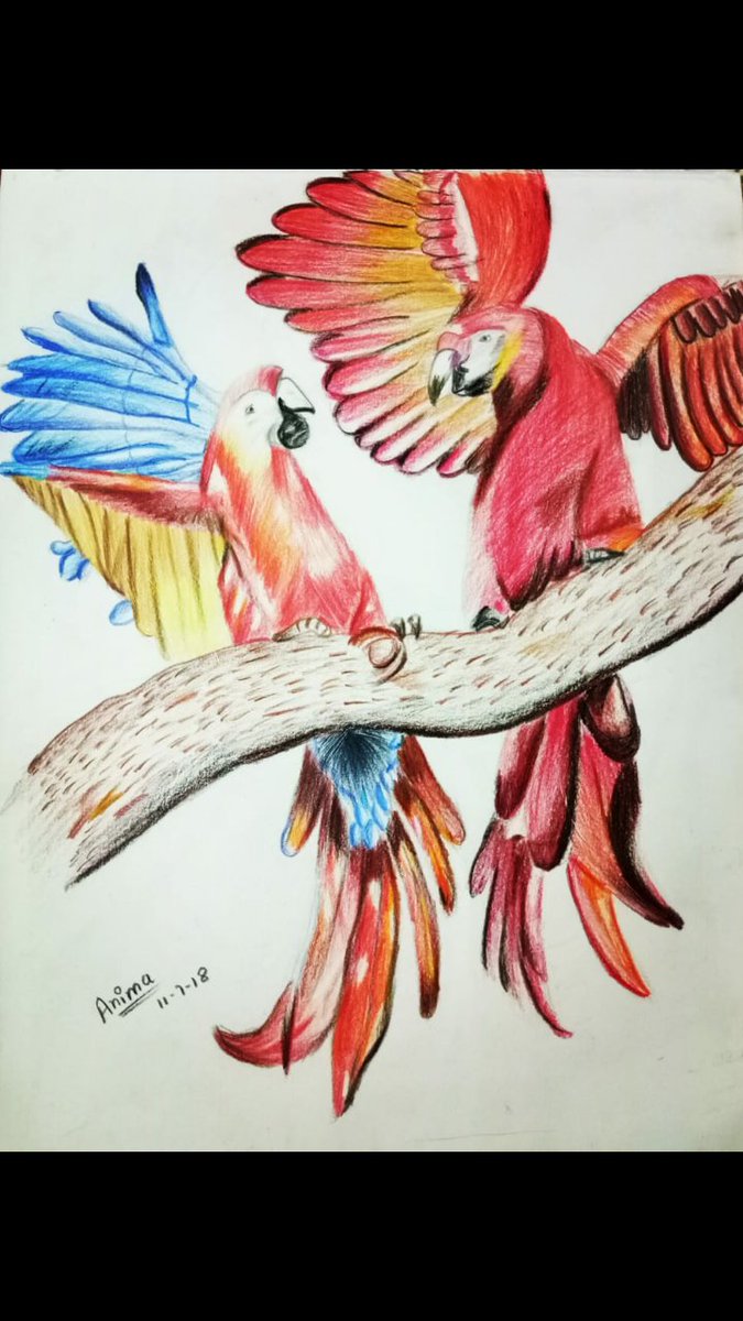 NeetuTh55627678's tweet photo. Made by - 
#Anima #Parasher 😊
8th #Class #student 
#Colour #Pencil #on #paper #sheet 
#Student of 
🎨#ART #VALUE #HARDA🎨
😊🙏 🌹 🙏😊 https://t.co/dXNCxiaTwi
