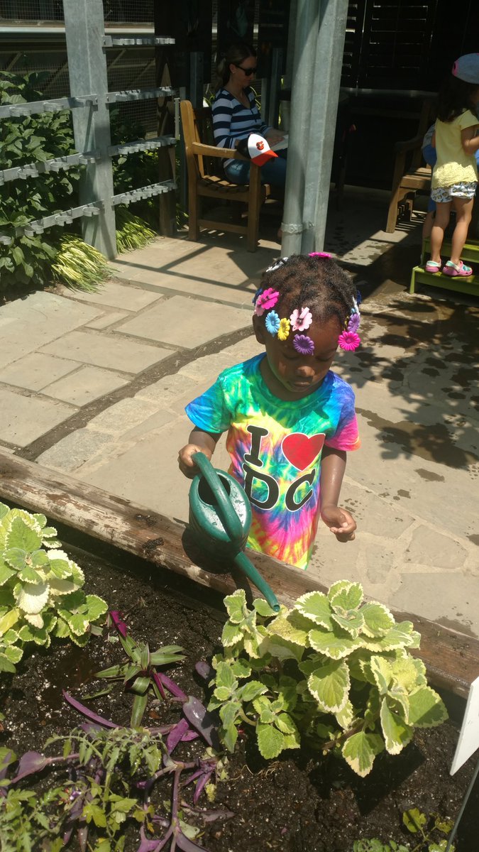 ToddlersRock's tweet image. #JoysOfGardening #AllAboutToddlers #Sensory #Science #Math #HandsOnLearning #Nature #Fun #ChildrensGarden #Plant #Dig #Water
