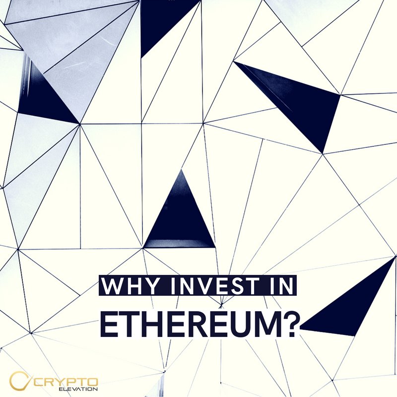 Crypto Elevation tweet media