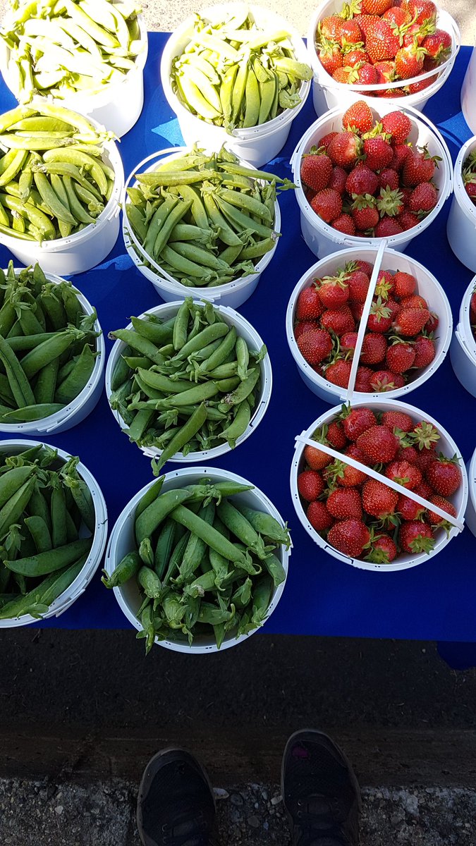 Prairie Gardens CSA good farm box this week #yeg #BonAccord <a href="/butternut_tree/">The Butternut Tree</a> <a href="/YEGFoodie/">YEGfoodie | Rebecca Reid</a>