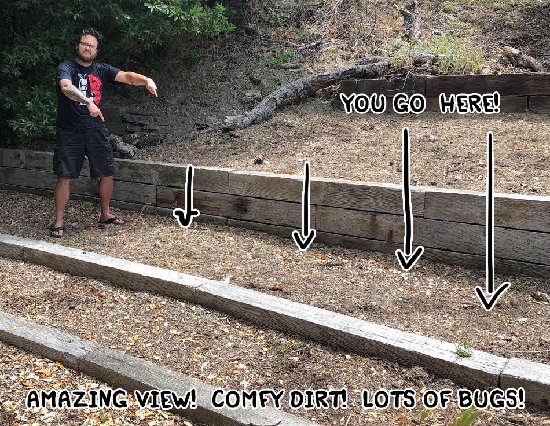 edmundmcmillen's tweet image. New SUPER MEGA TIER is live! thefoursouls.com The Haunted tier is a tier where you get to haunt me! i wrote an in depth blog post about it here &amp;gt; bindingofisaac.com its what all the cool kids are doing theses days, are you a cool kid?