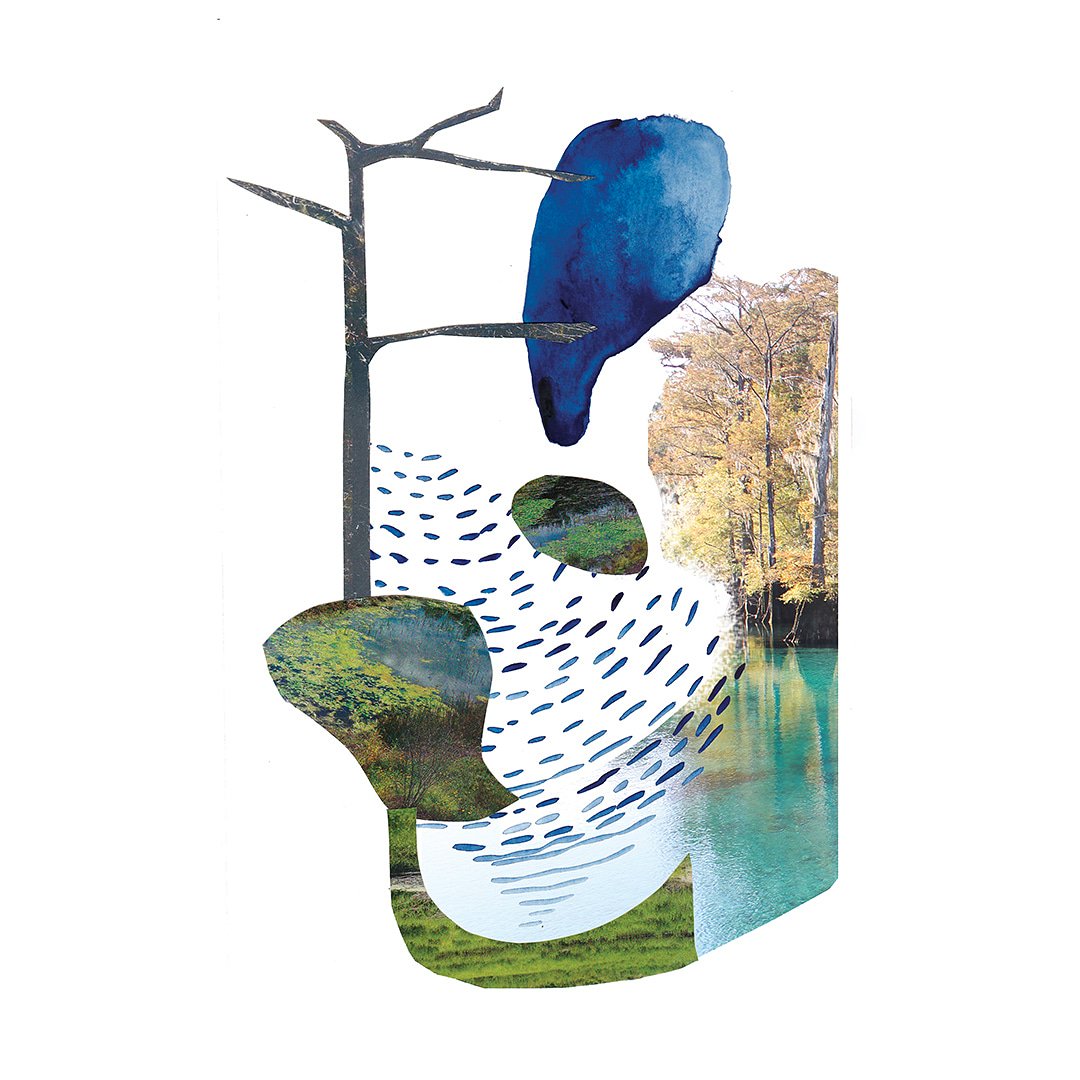 tempormag's tweet image. "Wetland," a digital collage by writer, public artist, and landscape architect, Falon Mihalic (@falonland), can be found among the pages of #tempor02. She created this piece to go along with her own essay in the publication, and it is available as a limited-edition artist print.