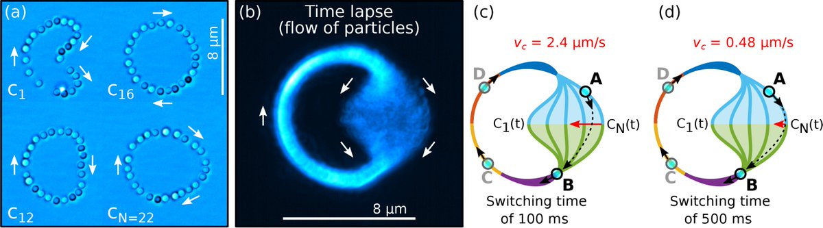 OpticaPubsGroup's tweet photo. An Editors' Pick from #OSA_OpEx: Dynamic morphing of 3D curved laser traps for all-optical manipulation of particles #opticalmanipulation @unicomplutense https://t.co/y6ulaaENtM https://t.co/Dd3kPHxv25