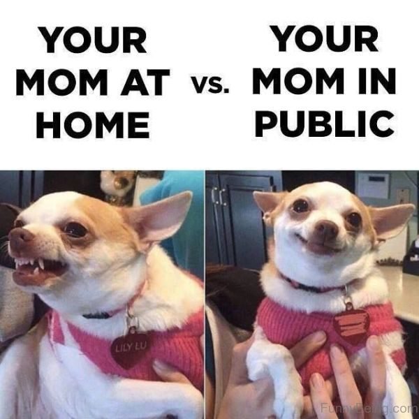 RealFeelsGood's tweet photo. Shhh... no one knows... but... 

#Realfeelsgood #Parenting #Momlife #Moms #Dadlife #Kids #Parenthood https://t.co/lRcXmfoprg