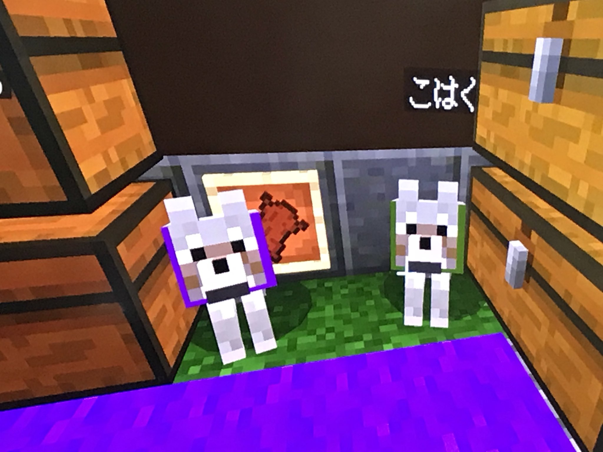 Chizuru 紫の首輪がならく 緑の首輪がこはく めっちゃ繁殖させてる Fwf