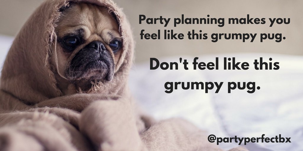 PartyPerfectBX's tweet photo. we can help. #sitbackandpartyperfect #partytime #grumpypug #pugs https://t.co/SUjwuavMKA