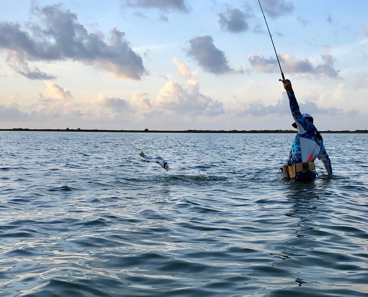 Capt Nathan Beabout of N&M Sportsman Adventures says wade fishing has been phenomenal in Seadrift, TX. Read blog post at: lonestarsalt.com/single-post/20…  @RealSaltLife @RedfishDistrict @spot2fish #speckledtrout #redfish #saltwaterfishing #saltlife #wadefishing