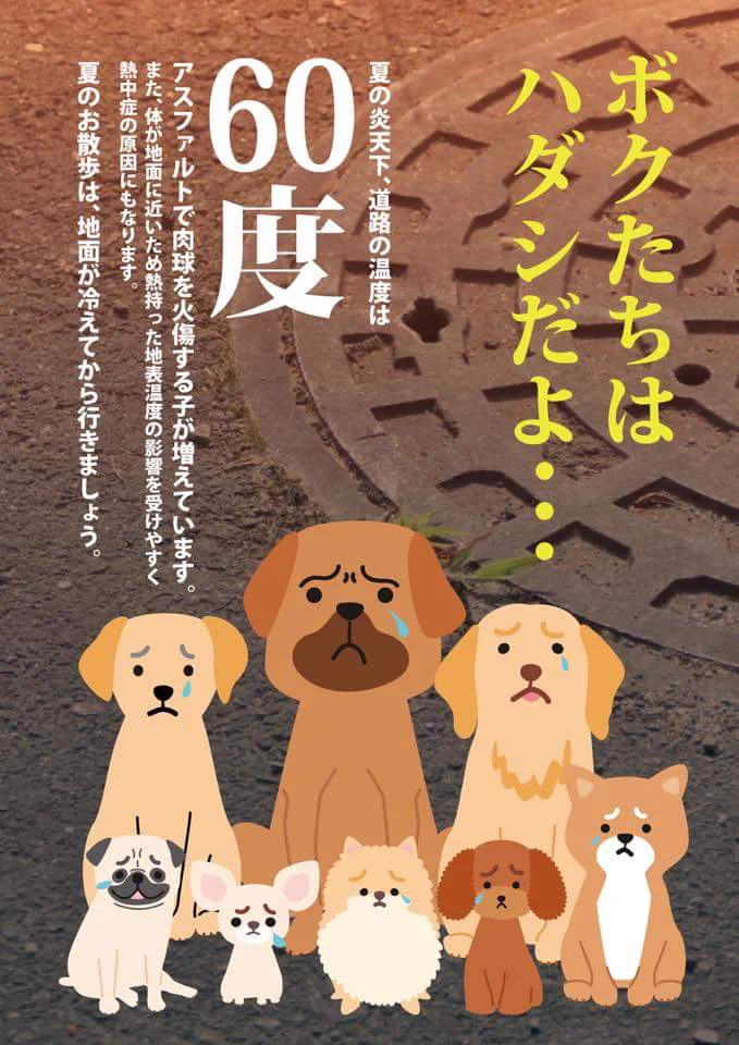 温度は60度！？炎天下の道路は鉄板の上と同じなので日中のペットの散歩は控えよう！