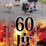 温度は60度!？炎天下の道路は鉄板の上と同じなので日中のペットの散歩は控えよう!