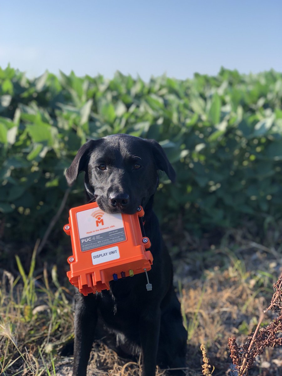 Nathan_hogg27's tweet photo. You sell your beans oct/nov, maybe store some bu, but there is only one crop a year...Why not sell the data you are working so hard to create, the data YOU OWN...and sell it multiple times a year! How does that sound? That’s #FarmerPower @FarmobileLLC https://t.co/LQXdim7nRV