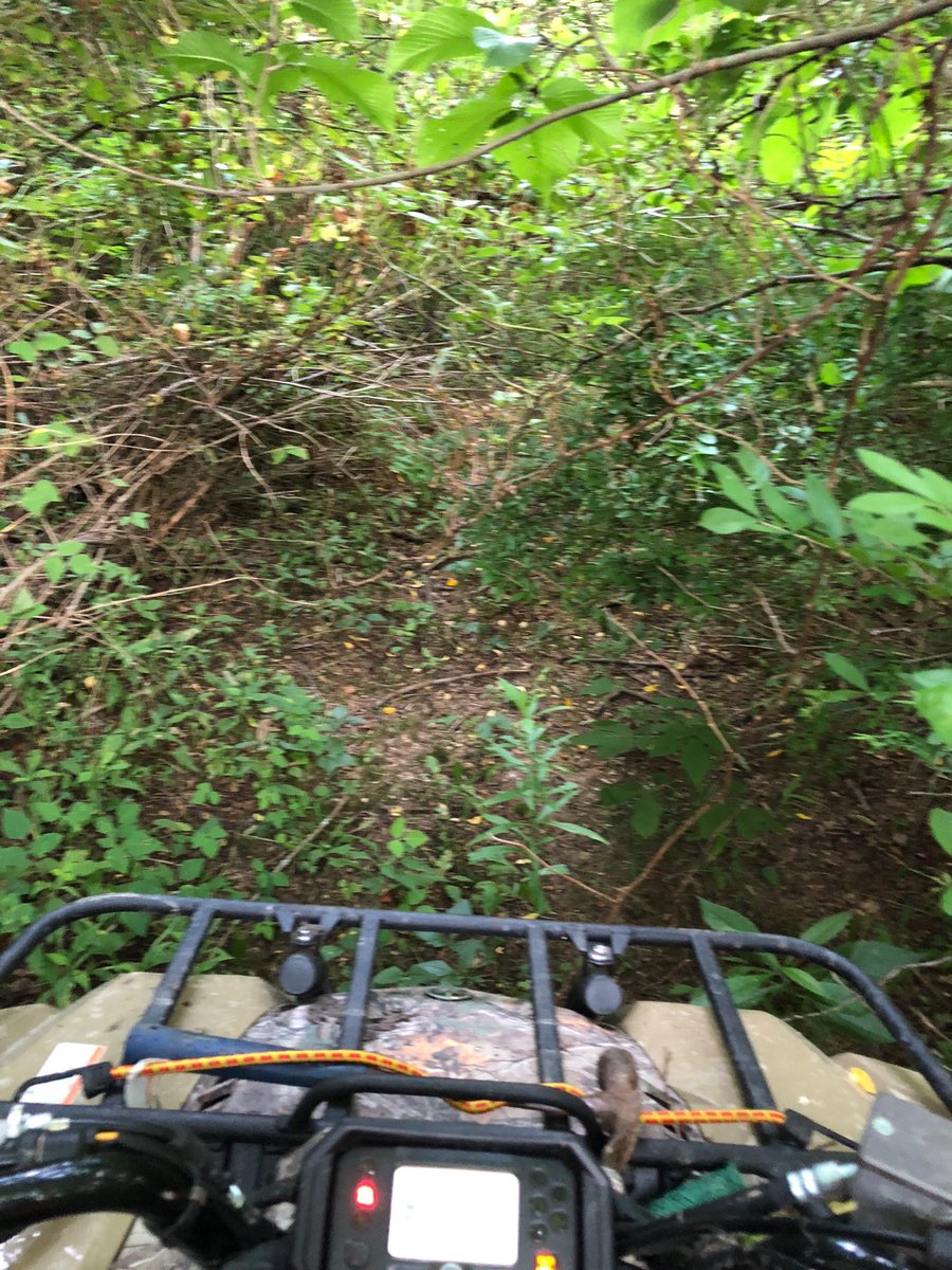 KevinScears's tweet photo. Ain’t getting any raspberries like this!!!! https://t.co/qPaHPOzATm