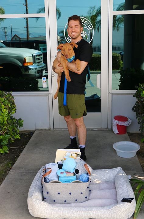 PetRescuePDG's tweet photo. ADOPTED! ❤️🐾ACHILLES our handsome boy has been adopted! We are happy he found his forever home. He will be living a great life with his new daddy! Good Luck Achilles and we will miss your beautiful eyes. ❤️🐾💋 #nkla #rescuedog #adoptdontshop #labpit https://t.co/6hsz36IY0H