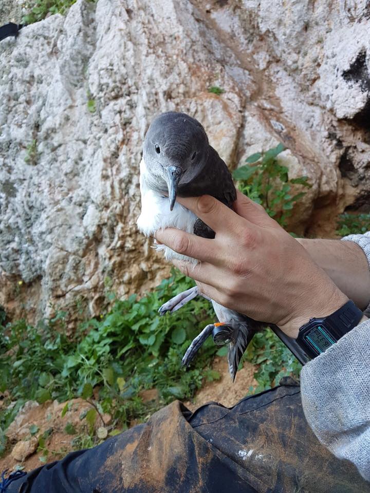 Ollie Padget tweet media