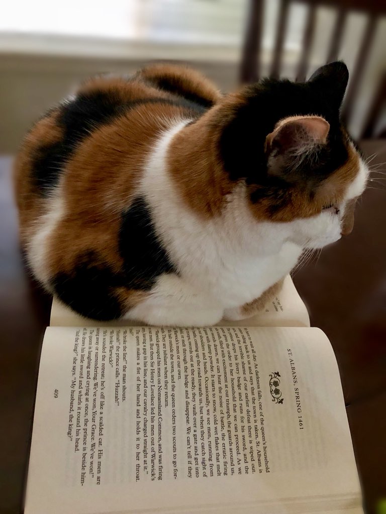 When you try to read a book but your cat wants your undying attention. #CatsOfTwitter #philippagregory #catsonbooks