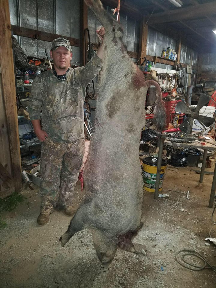 MITCHSMITHOUTDO's tweet photo. TEAM MEMBER JOE JENKINS WITH A SUCCESSFUL HOG HARVEST.
WHAT STATE WAS THIS HOG HARVESTED IN??? PLACE YOUR ANSWER
(A) FL (B)TN (C) TX
https://t.co/OBeIupcJLz
#mitchsmithoutdoors #hogs #hoghunting https://t.co/Wqmq0Om6Ol