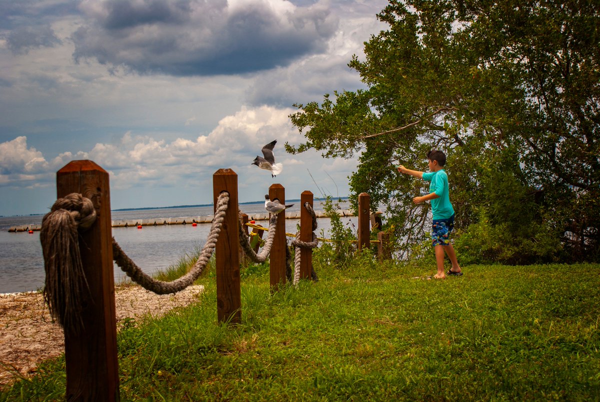FehrBruce's tweet image. Chasing seagulls  #O2SPhoto