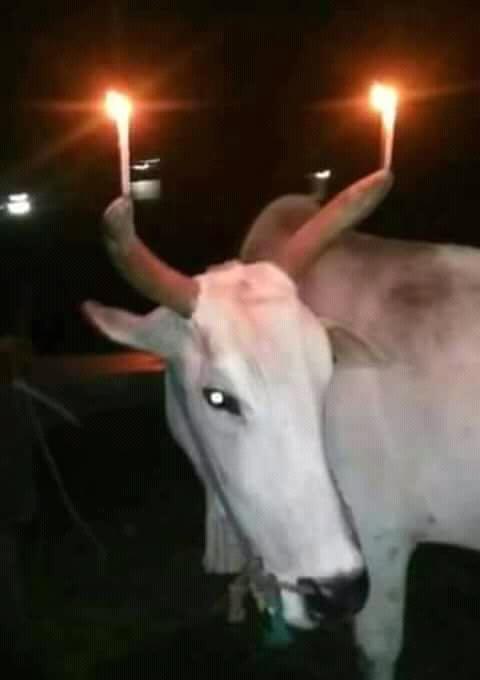 ကိုႀသေလး (@auglaoo21988) on Twitter photo 