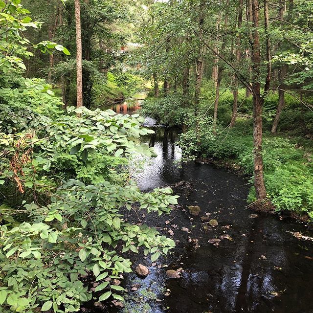 DanHutter's tweet image. ift.tt/2mcnPpK