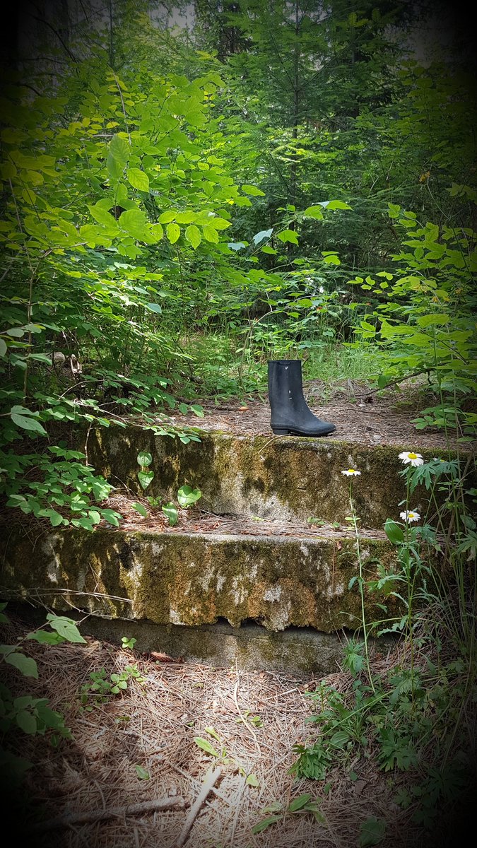 Fr8chickSandy's tweet photo. @Algonquin_PP @OntarioParks #cachelake has truly amazing history! https://t.co/EwlCsB18lK