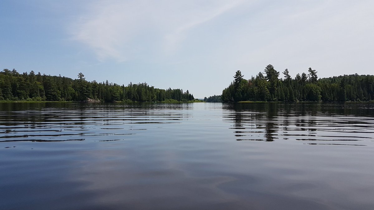 Fr8chickSandy's tweet photo. @Algonquin_PP @OntarioParks #whitefishlake is a gem. What a great afternoon! https://t.co/MnSagH7Fga
