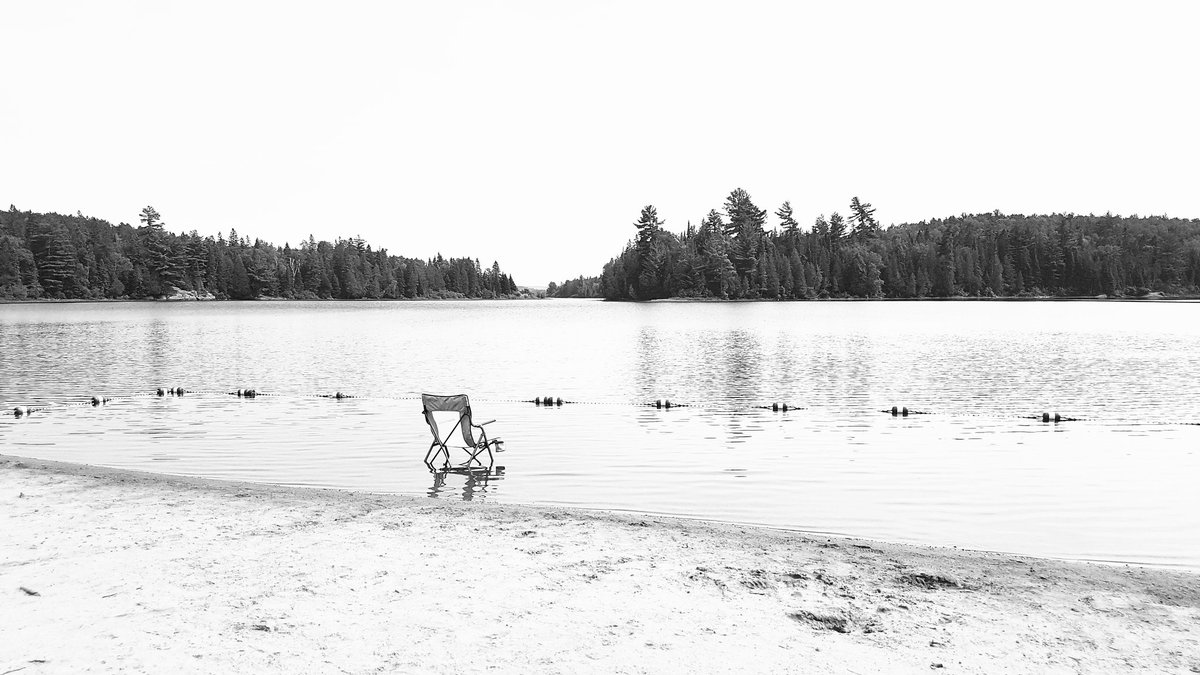 Fr8chickSandy's tweet photo. @Algonquin_PP @OntarioParks #whitefishlake is a gem. What a great afternoon! https://t.co/MnSagH7Fga