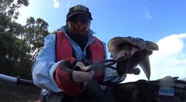 hookezeofficial's tweet photo. Abe Kennedy with a nice little Flathead.
#fishingaustralia #fishingaussiewaters #flatheadfishing #flathead #lizardfishing #lizard #australianfishing https://t.co/WCk1C9e0Y4