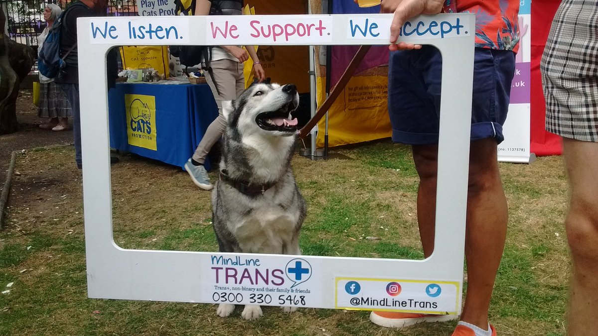 MindinSomerset's tweet image. Even this beautiful lady is getting in on the #MindLineTrans selfie frame action!
@MindlineTrans #BourneFree2018 #bournefree #BournemouthPride #TransPride #DogsatPride #PuppySmiles