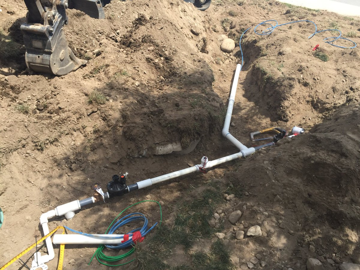 Ben Polimer tweet media