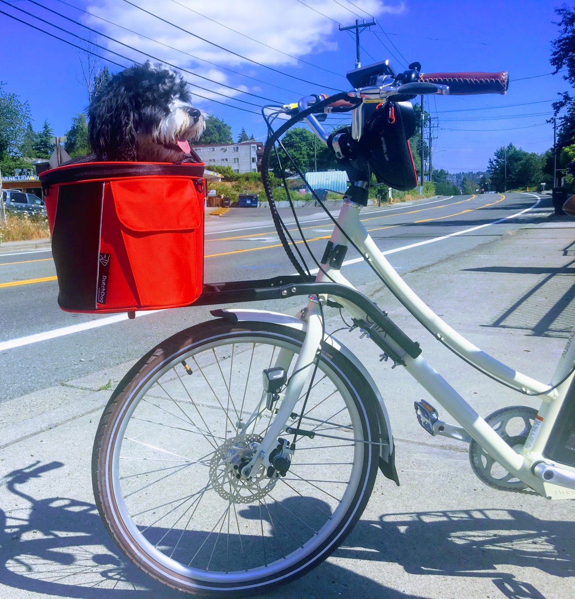 doggyride cocoon bike basket for pets