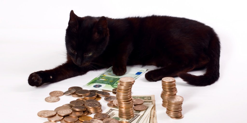 adumo_group's tweet photo. #Fridaythe13th

Cat got your cash?

Maybe you should use your credit card. https://t.co/NgfNbq3gO5