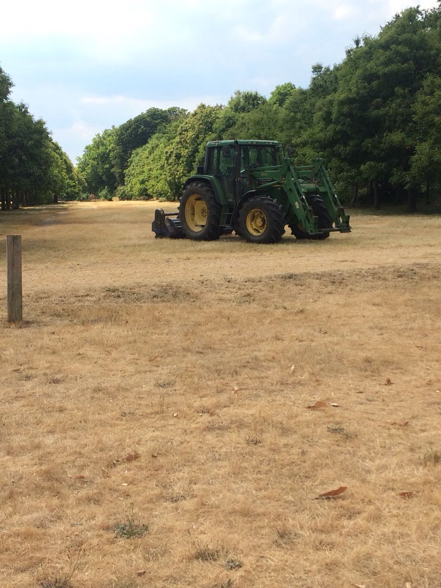 MusicWanstead's tweet photo. Taken a few days ago, the park having it's haircut before the big event TOMORROW.  
Loads of you have bought tickets and we can't wait to see you there! 
#weekend #family #music https://t.co/Mh8D6roOzu
