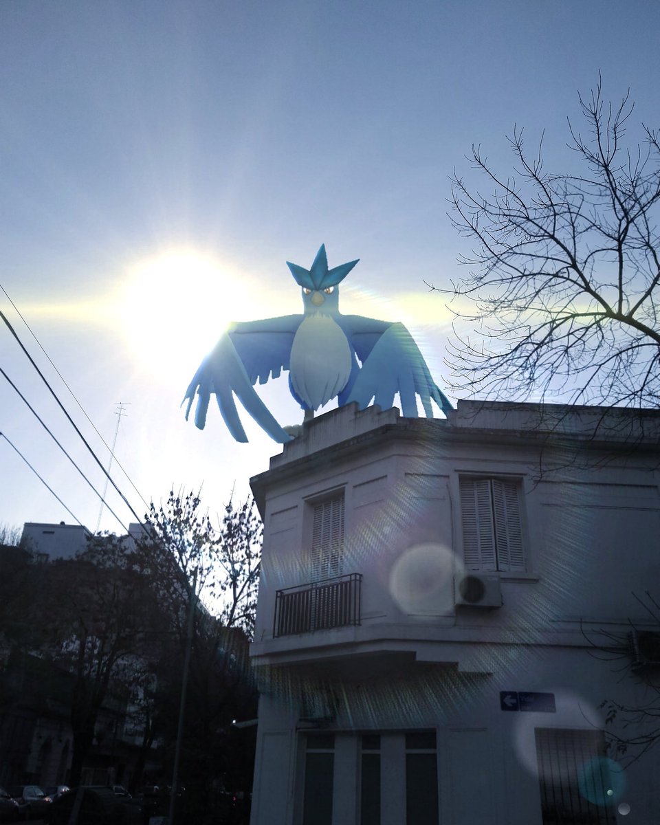 BordoniAndres's tweet photo. @PokemonGoApp When Legendary Pokemon first appeared... ^^ https://t.co/z9k9hWvCl9