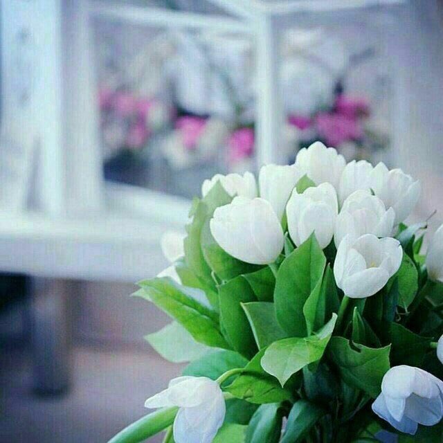 🌼

صباح الخير ،، ثم عافية وسعادة تعانق أرواحكم ... 

🌼