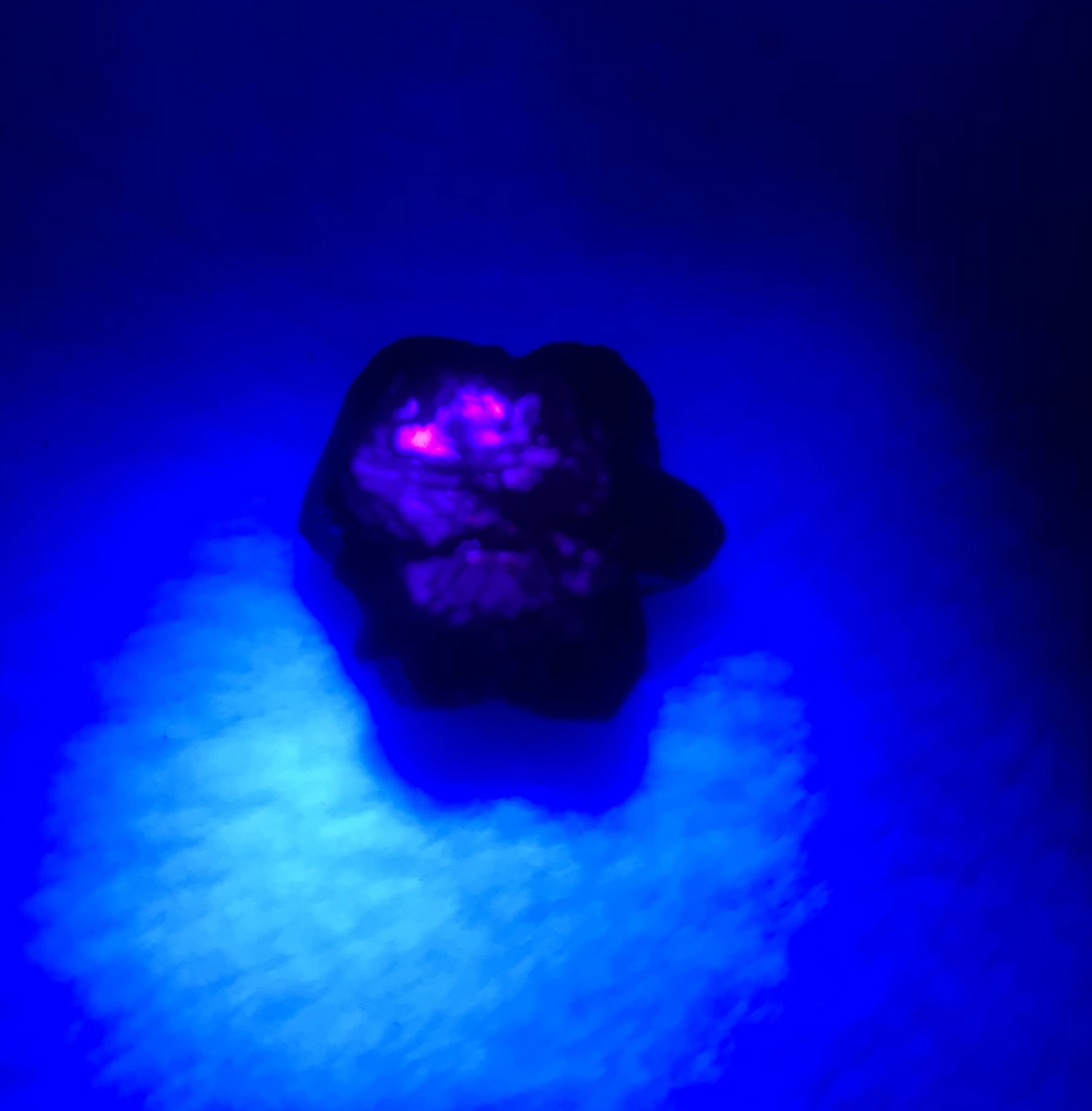 アレキサンドライト　輪座双晶 バイーア産アレキサンドライト（輪座双晶）原石 28.3カラット