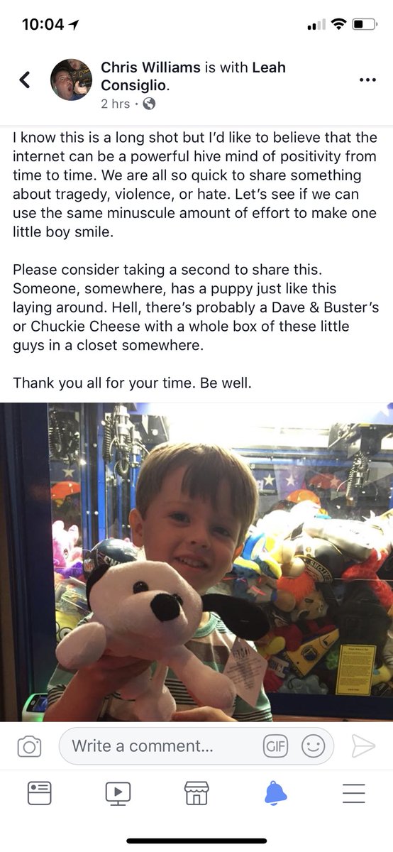 MelissaKate8's tweet photo. Hey Twitter, can you help me make this little boy the happiest kid on the planet? My nephew needs his Pup back! https://t.co/Sun5yRQZYc