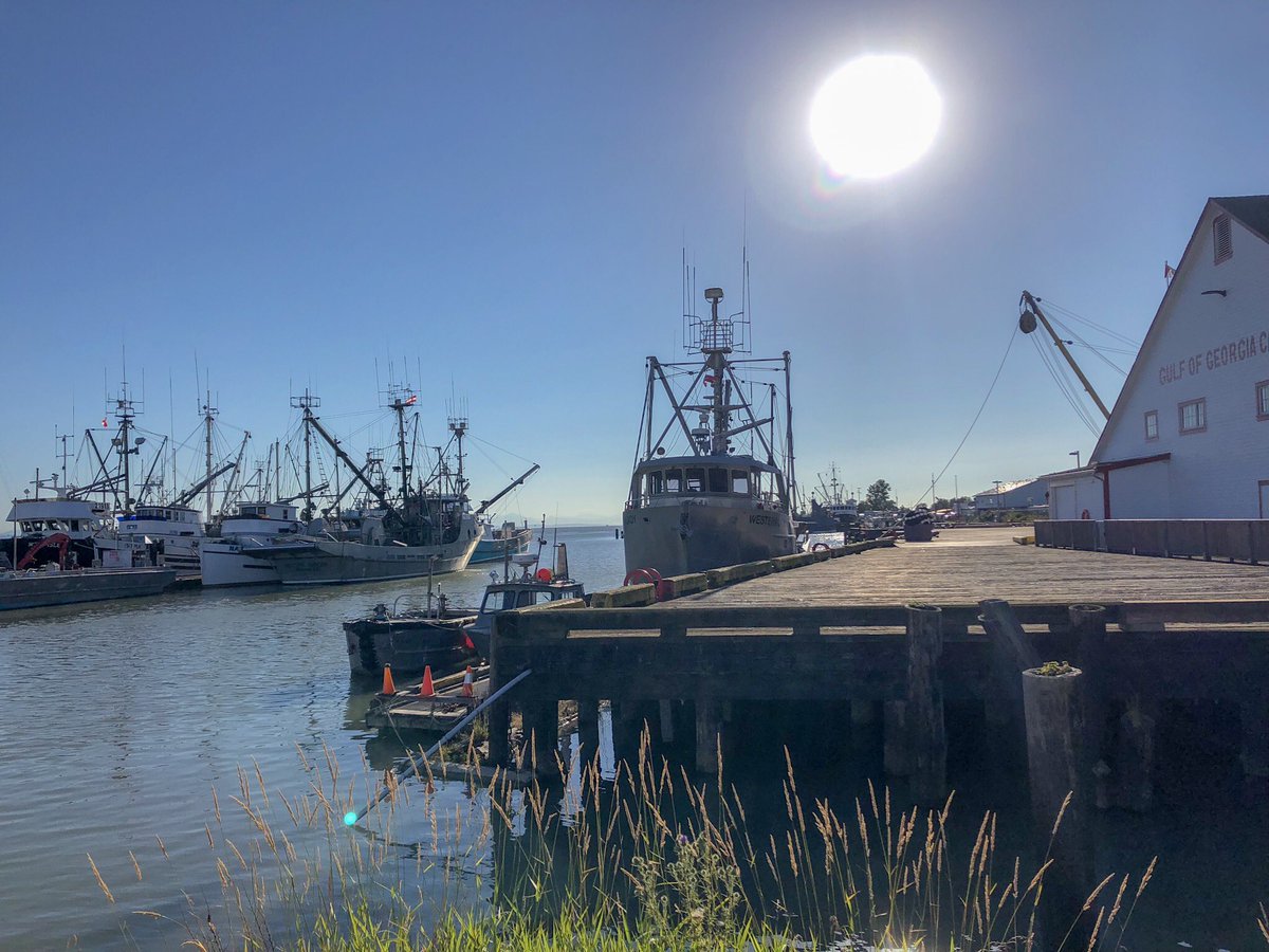 Looking forward to another evening like today’s for Music at the Cannery opening night on Friday July 13th - doors open at 6. With <a href="/_waywardhearts/">The Wayward Hearts</a>! #Steveston #summermusic #richmondmoments