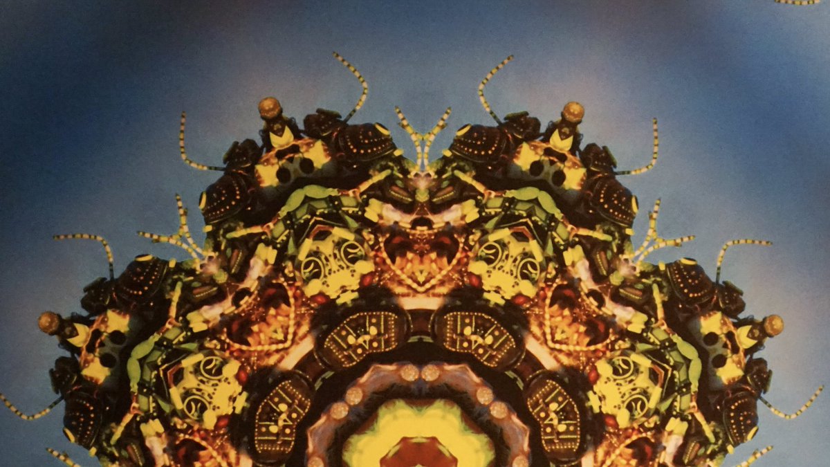 MGMArtCulture's tweet photo. Originating from her residencies at Burning Man, #NancyGood’s ‘See, Touch & Go Dream - The Burning Tapestries 2018’ is on view now @delanovegas. #MGMArtCulture https://t.co/zqU6tLXpXh